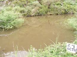 Onkaparinga River Downstream From Mount Bold Reservoir 2011 Aquatic Ecosystem Condition Report Epa I need script mt regular font for my website: