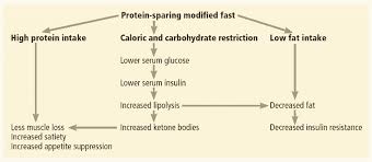 The main goal is to invoke rapid weight loss in just a few weeks with minimal additional exercise. The Beginner S Guide To A Protein Sparing Modified Fast Psmf Diet Vs Disease