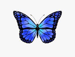Butterflies and moths have been recognised by the. Blue Monarch Butterfly Aesthetic Novocom Top