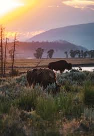 Due cuori e una capanna. Tinyclicks This Was Easily The Best Sunset I Ve Ever Seen Nature Pictures Nature Animals Wildlife Photography
