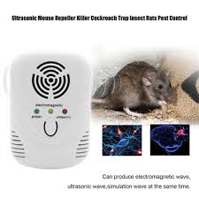 There are a few reasons your hermit crabs behave differently. Top 10 Most Popular Device For Repelling Mice Ideas And Get Free Shipping 13ia8459