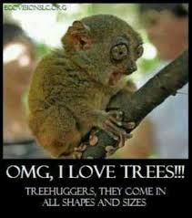 Funny Tree Hugger Animal Humour Funny Animals Cute Funny Animals