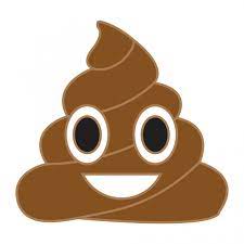 Fecal Fundamentals: Learn What Your Poop Says About Your Health - Ask The  Scientists