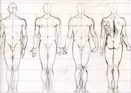 But being correct in the art world and the medical world are two different things. Learning To Draw Human Body