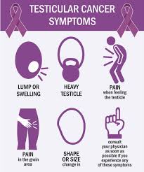 Testicular cancer symptoms pictures can help patients to understand the symptoms of testicular cancer. Testicular Cancer Africa Cancer Hub