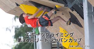 「スポーツクライミング」は，2016（平成28）年8 月，東京オリンピックの追加種目として国際オリンピック委員会から 正式に発表された競技である．最近では各種メディアで取り上げられる機会も多く，「スポーツクライミング」という名 を一度は耳にした方も多いと思うが，どのような競技かイメージできる方は少ないと考える．私も「スポーツクライミ ング」というものをイメージできなかったため調べてみたところ，「フリークライミングが時代ともに進化していくなか で，競技者の安全を確保しつつ競技性･スポーツ性が強調されルール化された新しいジャンルであり，ボルダリング， リード，スピードという3 種目のクライミングで競うスポーツ」と定義されているようだ． ã‚¹ãƒãƒ¼ãƒ„ã‚¯ãƒ©ã‚¤ãƒŸãƒ³ã‚°ç¬¬34å›žãƒªãƒ¼ãƒ‰ã‚¸ãƒ£ãƒ'ãƒ³ã‚«ãƒƒãƒ— Bsæœæ—¥