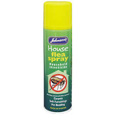 Vacuum your house and then treat it with a flea. Johnson S Household Flea Spray 400ml Pets At Home