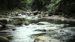 Rio Grande De Loiza Youtube Puerto Outdoor Enjoyment