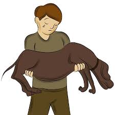 Ist ihre entscheidung gefallen, den hund einschläfern zu lassen, dann versuchen sie, möglichst ruhig zu bleiben. Wenn Der Hund Stirbt Was Ist Zu Tun Hunde