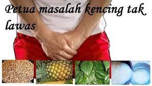 Petua masalah kencing tak lawas petua herba kampung facebook. Petua Masalah Kencing Tak Lawas Petua Herba Kampung Facebook