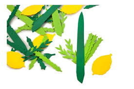 (הנה קישור למאמר מפורט על מכת ארבה). ×—×™×ª×•×›×™ ×¡×•×œ 4 ×ž×™× ×™×