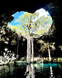 Madeleine Donovan (@madeleinechgo) • Instagram photos and videos