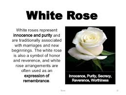 Check spelling or type a new query. What Do Pink And White Roses Mean Hno At