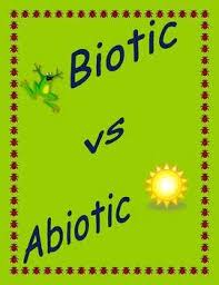 6th Grade Biotic And Abiotic Factors Worksheet Biotic Vs Abiotic Abiotic Biotic Learning Science