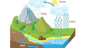 Evaporasi (penguapan) evaporasi adalah proses penguapan air yang terdapat di rawa, laut, danau, sumatera, dan lainnya akibat terkena panas sinar matahari. Daur Air Pengertian Proses Dan Tahapannya Teks Co Id