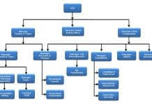 hierarchy in bpo company hierarchystructure com