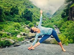 Extended Triangle Pose Utthita Trikonasana Freedom Genesis