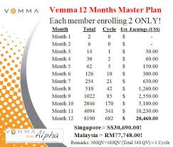 vemma work from home biz making a positive difference