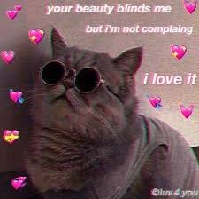 Anonymous Love Chapter 6 Baby I Love You In 2020 Cute Cat Memes Cute Love Memes Love Memes