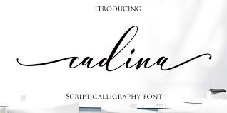 Cursive is a style of handwriting that dates back to the 16th century, designed to make writing quicker by . Cadin Regular Abstract Fonts Download Free Fonts