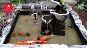 Namun, tak seperti ikan pada umumnya yang bisa hidup di akuarium dangkal, ikan koi harus diletakkan di kolam khusus yang memiliki kedalaman sehingga bisa berkembang biak. Kolam Ikan Koi Mas Koki Minimalis Review Kolam Hotel Kekinian Youtube