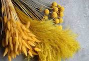 Make baked dried flowers for crafts! 1 98