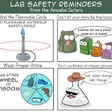 There are 47 lab safety poster for sale on etsy, and they cost $16.43. General Lab Safety Youtube