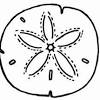 Sand dollars have tiny lines in them. 1