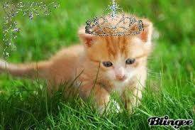 R&eacu</div></body></html>