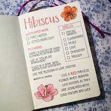 World Of Magick On Instagram The Hibiscus Is Such A Beautiful Flower It Is Associated With Both Water And Fire Due To Magick Passion Tea Herbal Magic