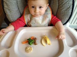 Menu makanan bayi 2 komentar. 10 Finger Food Bayi Usia 8 9 Bulan Yang Bisa Bunda Pilih Prenagen