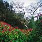 Waimea Valley - World Teachers Day
