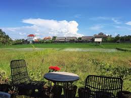 Bali Indonesia Canggu Cinta Cafe Warung Bali Indonesia Bali