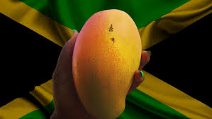 Jamaica In May: What'S It Like To Visit Jamaica In May