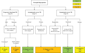 Valvular Heart Disease Guidelines 2017 Pdf Cardiovascular Disease