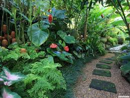 14 Tropical Plants To Create A Tropical Garden In Cold Climate Tropical Landscape Design Tropical Garden Design Tropical Backyard