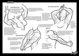 Getting the direction of these forms right will make or break your drawing of the female torso. Pin On Art Help