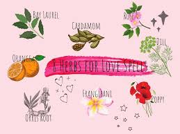 Check spelling or type a new query. 8 Key Herbs For Love Spells And Their Magical Uses Wicca Now Everything You Need To Know About Wicca