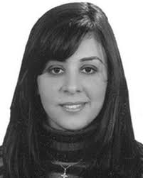 Stability in Software Engineering: Survey of the State-of-the-Art and  Research Directions