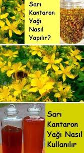 Sari Kantaron Yagi Yapmak Icin Ciceklerin Gunesli Bir Gunde Toplanmasinda Fayda Vardir Gunesin En Yuksekte Oldugu Saatl Johanniskraut Gesundheit Wie Macht Man