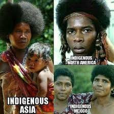 We Are American Aboriginals On Instagram Knowyourhistory Americansoil Aboriginal Aboriginala Black History Facts African American History African History