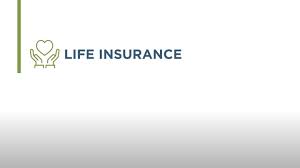 Voluntary Life Insurance The Hartford