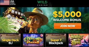 Wild Casino Welcome Bonuses And Promotions 2021 Nabble Casino Bingo Casino Casino Slot Games Bonus