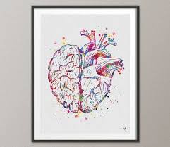 Brain And Heart Balance Watercolor Print Medical Art Science Etsy In 2021 Medical Art Art Watercolor Print