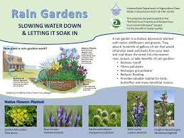 How does a rain garden clean water? Rain Gardens Steuben County Soil And Water Conservation District