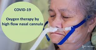 Durable medical equipment (dme) overview bcbsil provider manual—rev 5/10 5 group ii criteria: Oxygen Therapy By Hfnc Practical Points On Clinical Use In Covid 19
