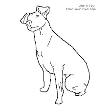 Maybe you would like to learn more about one of these? Rat Terrier Coloring Page Rat Terriers Dog Patterns Terrier