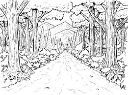Bohemian Art Club May 2012 Enchanted Forest Coloring Book Forest Coloring Pages Jungle Coloring Pages