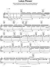 Radiohead Lotus Flower Sheet Music In D Minor Transposable Download Print Sku Mn0092718