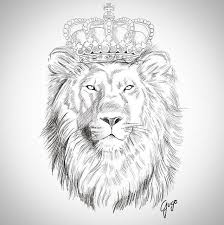 Esboco Sketch Lion Leao Draw Desenho Gugo Guarulhos Gugotattoo Tattoo Tatuaje Tattoosp Tatuagem Lion Head Tattoos Lion Sketch Lion Tattoo
